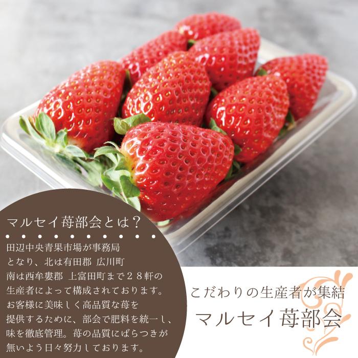 まりひめ 7