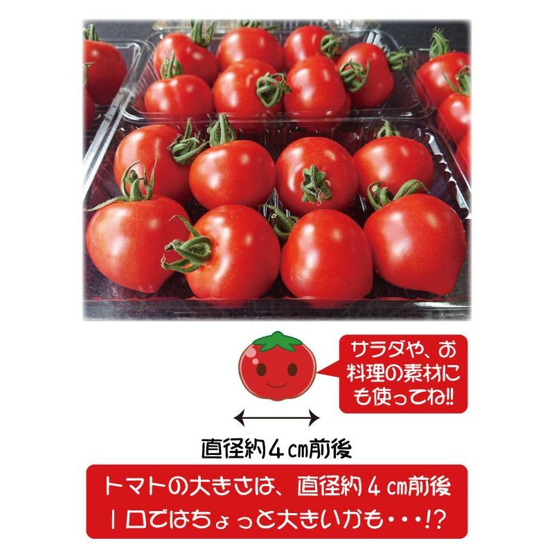 ミディトマト 4