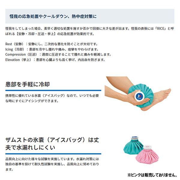 アイスバッグ L 2