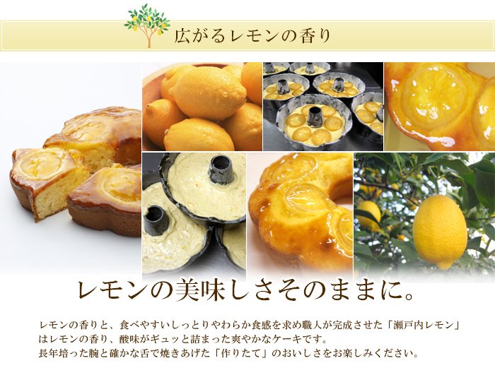 瀬戸内レモンケーキ 3