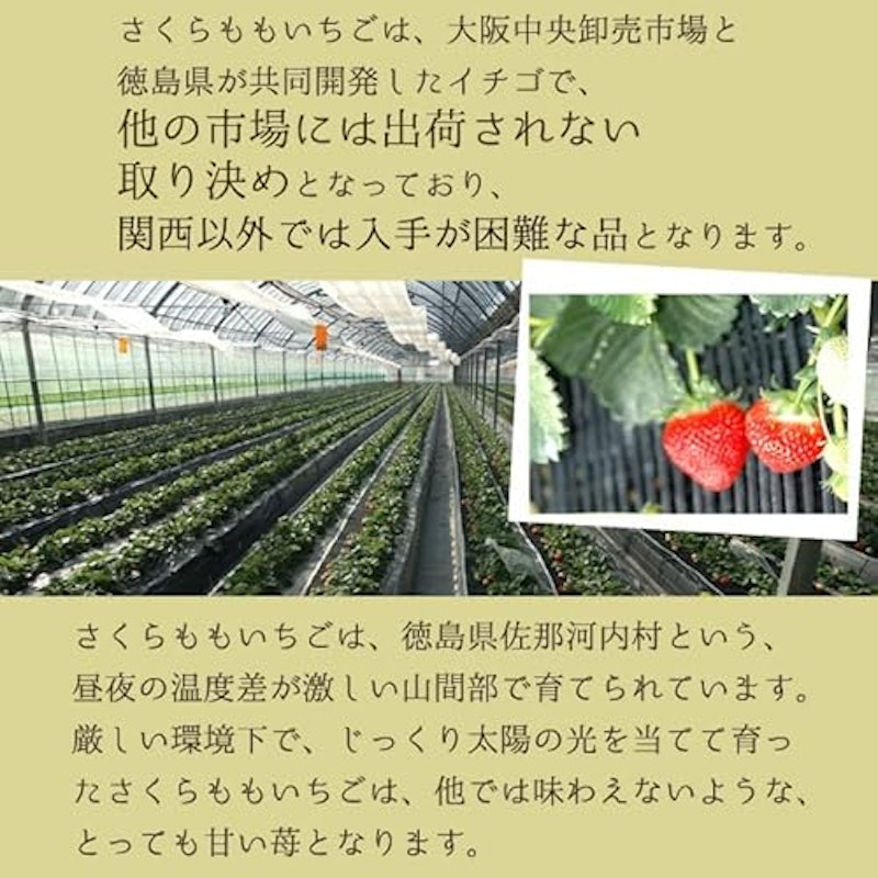 さくらももいちご 8