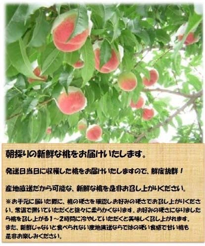 旬の桃 4