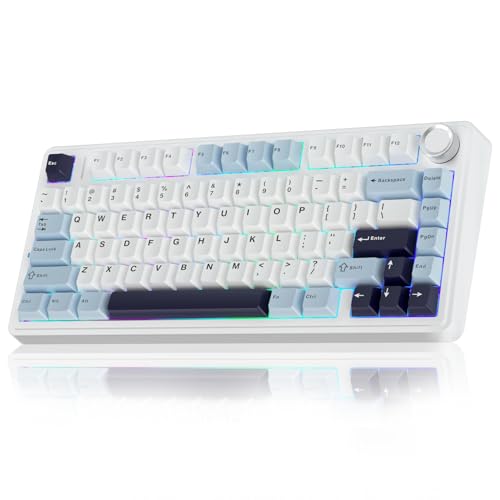 ゲーミングキーボード ガスケット メカニカルキーボード 75% 1