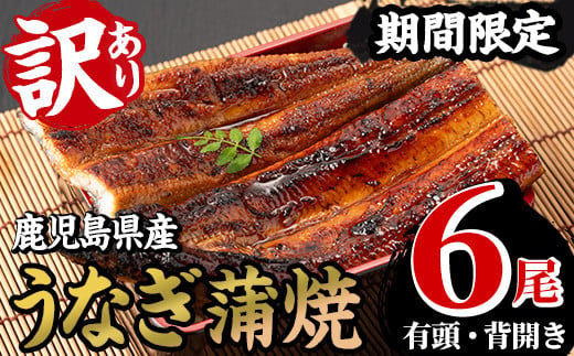 鹿児島県産 うなぎ蒲焼 1