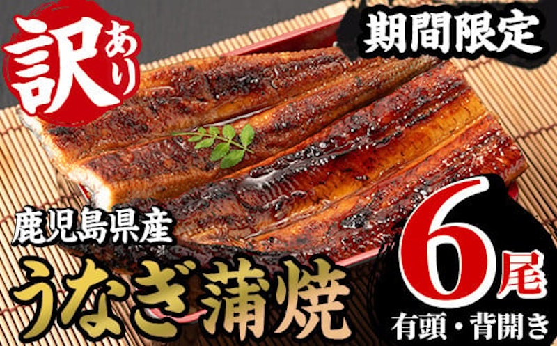 鹿児島県産 うなぎ蒲焼 1