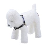 中型犬用ハーネスのおすすめ人気ランキング【2026年9月】 4