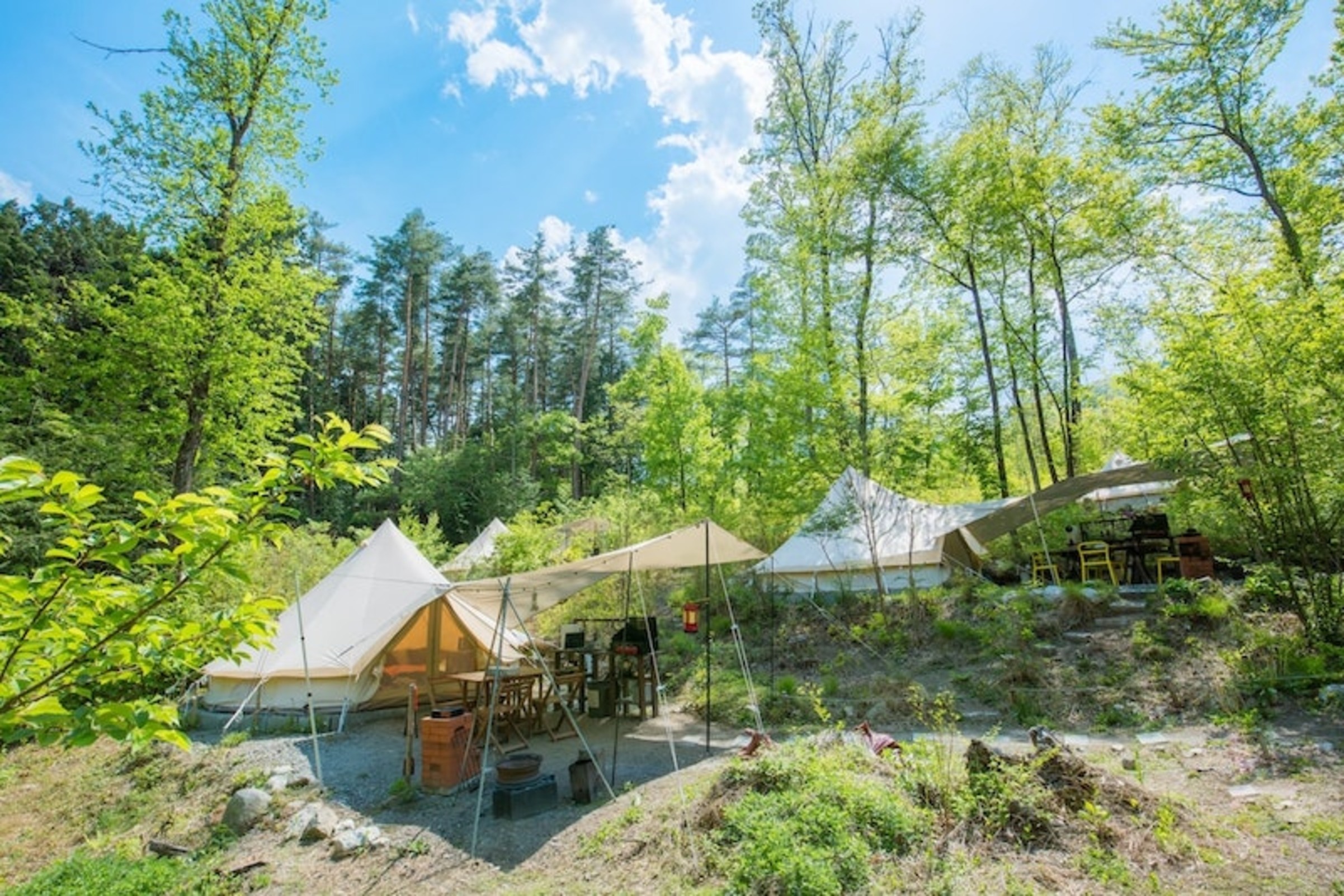 白州・尾白FLORA Campsite in the Natural Garden 5
