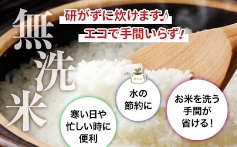 つや姫 無洗米 3