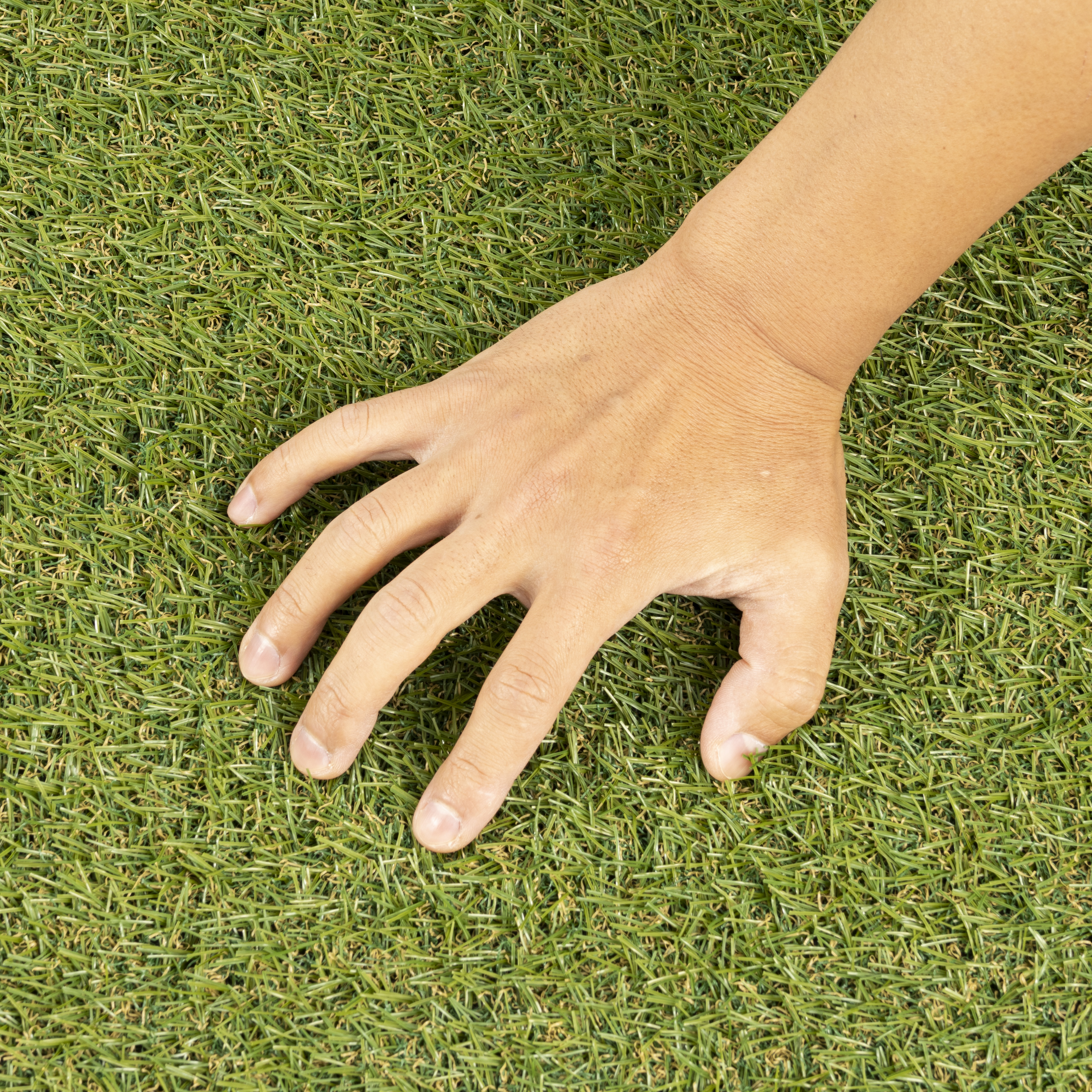 650a6b25703dfcec8c4a40eb0defa2