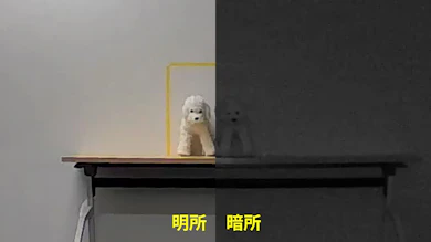 明かりがあれば様子はわかる。暗所では居場所の確認まで