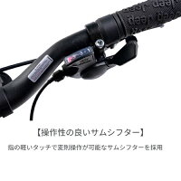 ファットバイク 5