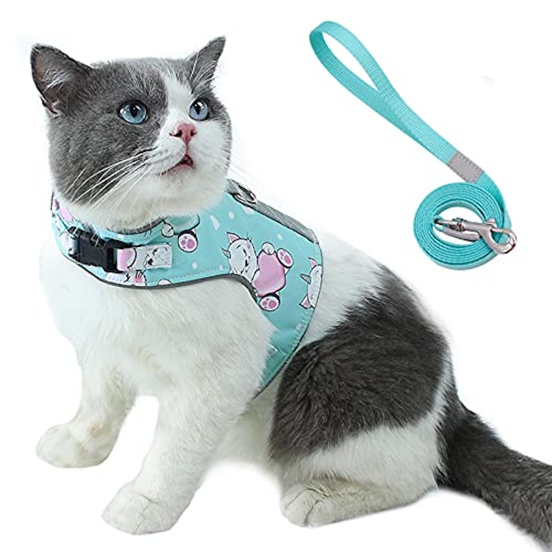 猫用ハーネス 1