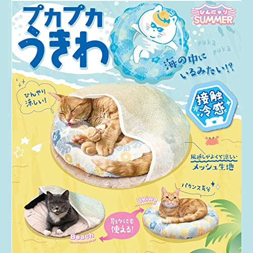 ひんにゃりSUMMER 5