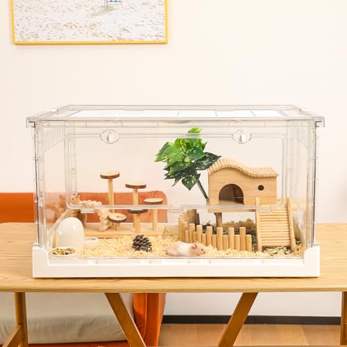 楽天市場】初めてのハリネズミ飼育セット 関東当日便 : charm