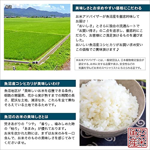 魚沼産コシヒカリ 4