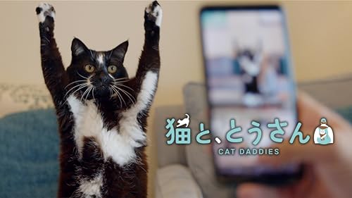 猫と、とうさん 2