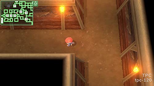 ポケットモンスター シャイニングパール 4