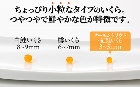 いくら醤油漬（サーモントラウト・紅鮭） 3