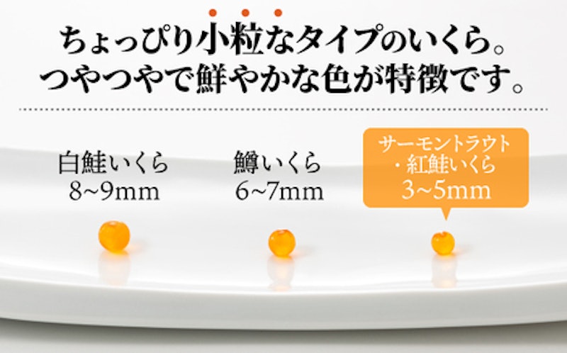 いくら醤油漬(サーモントラウト・紅鮭) 3