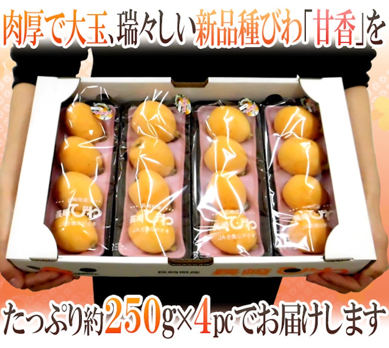 甘香 秀品びわ 7