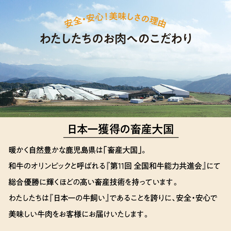  鹿児島県産 黒毛和牛 肩ロース スライス 8
