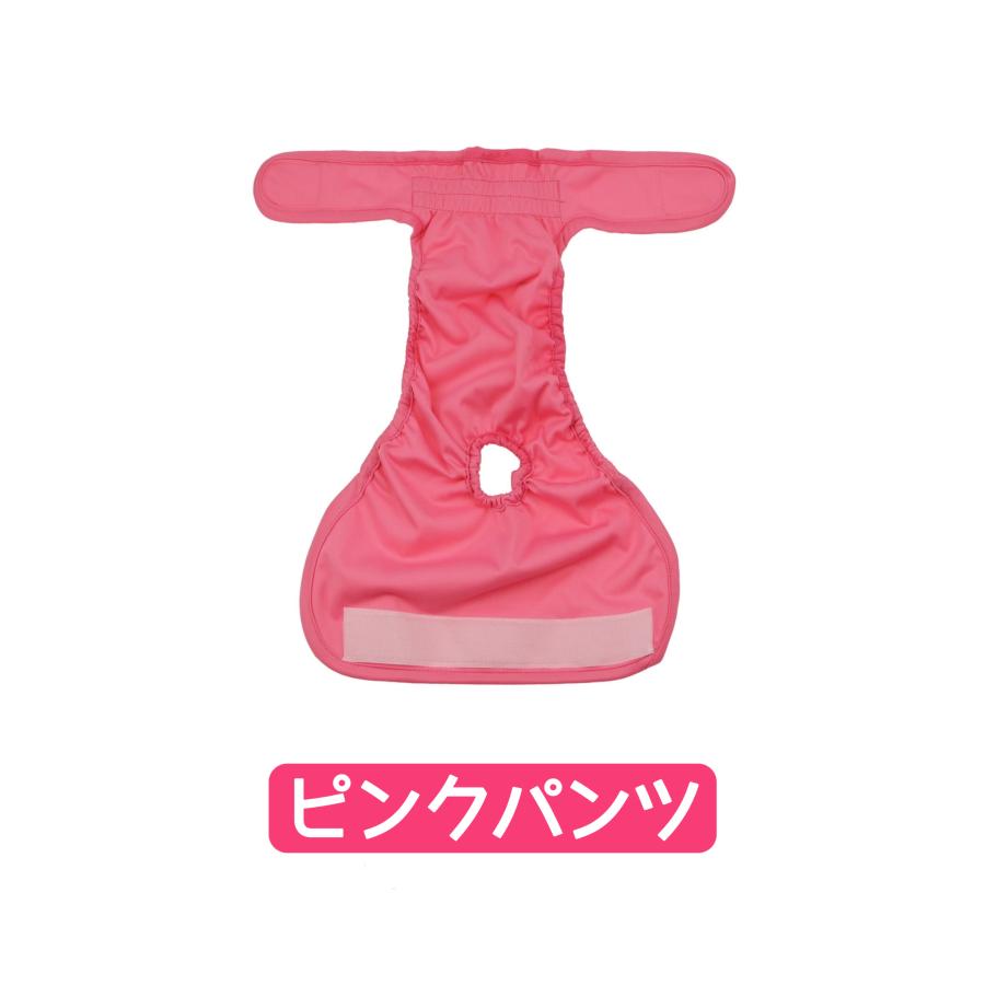 マナーパンツ 7