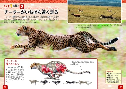 動物のクイズ図鑑 5