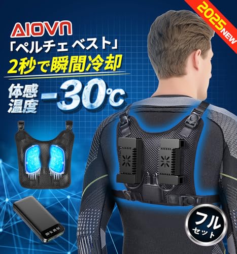 ペルチェ ベスト 2