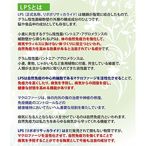 クリーム 2
