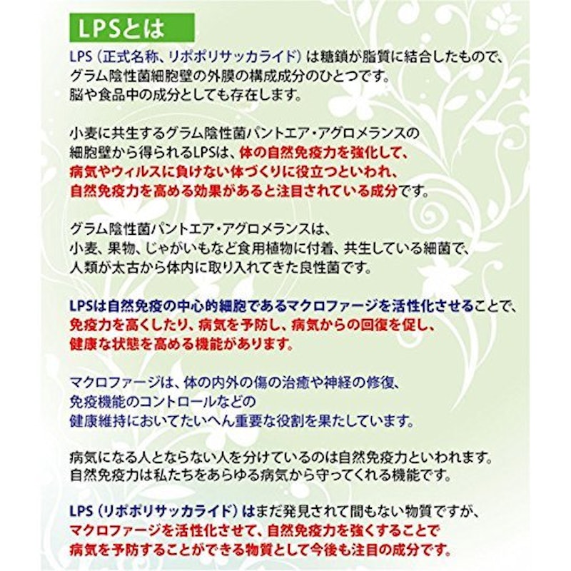 クリーム 2