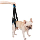 犬用介護ハーネスのおすすめ人気ランキング【2026年8月】 2