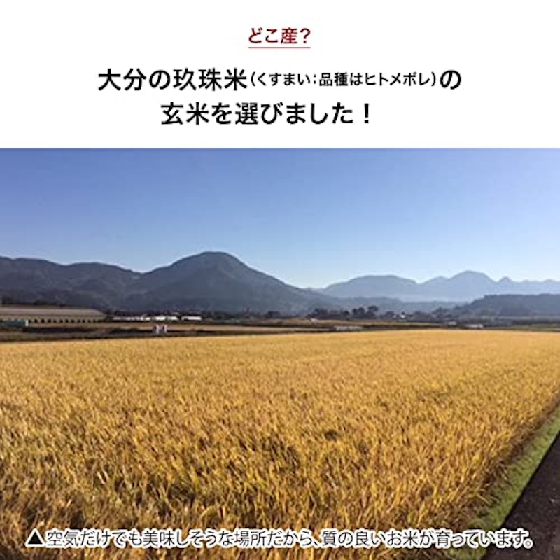 パワー デリシャス 3