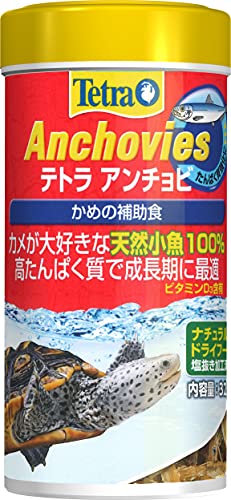 テトラ アンチョビ 1