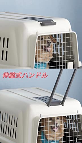 ペットキャリー 2
