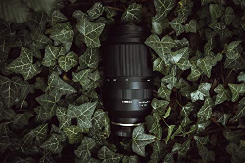 70-180mm F/2.8 Di III VXD 5