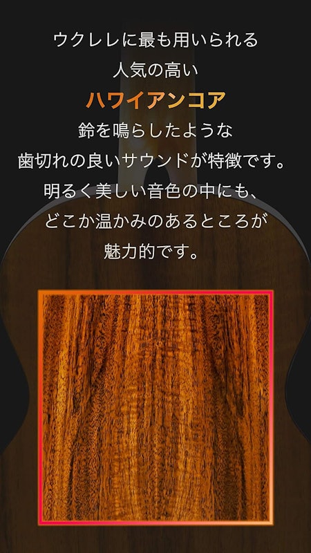 ウクレレ 5