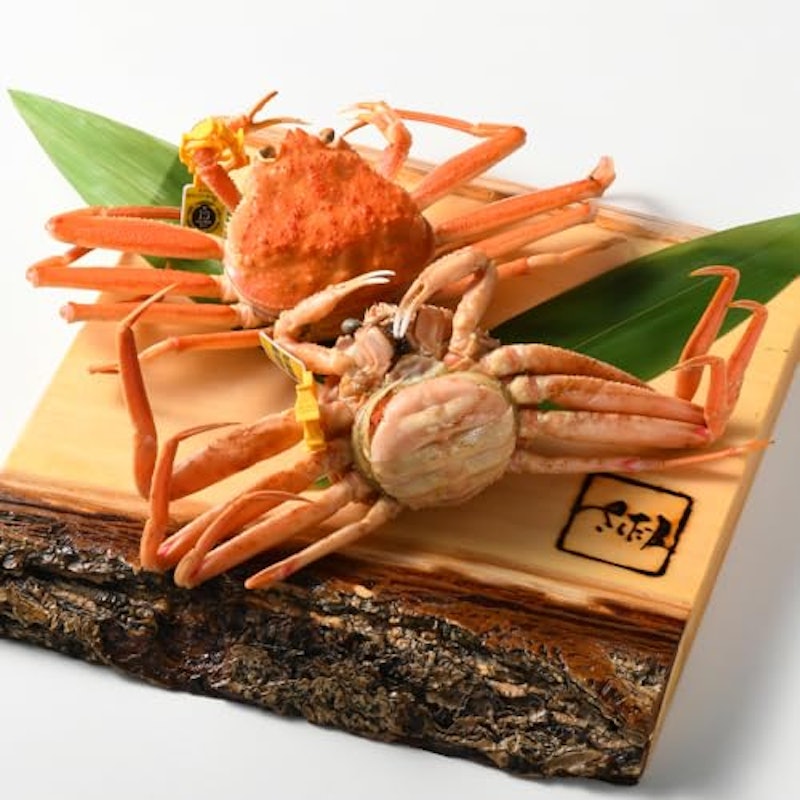 浜茹で 越前セイコガニ 1