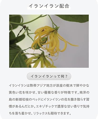 EAU DE TOILETTE 4