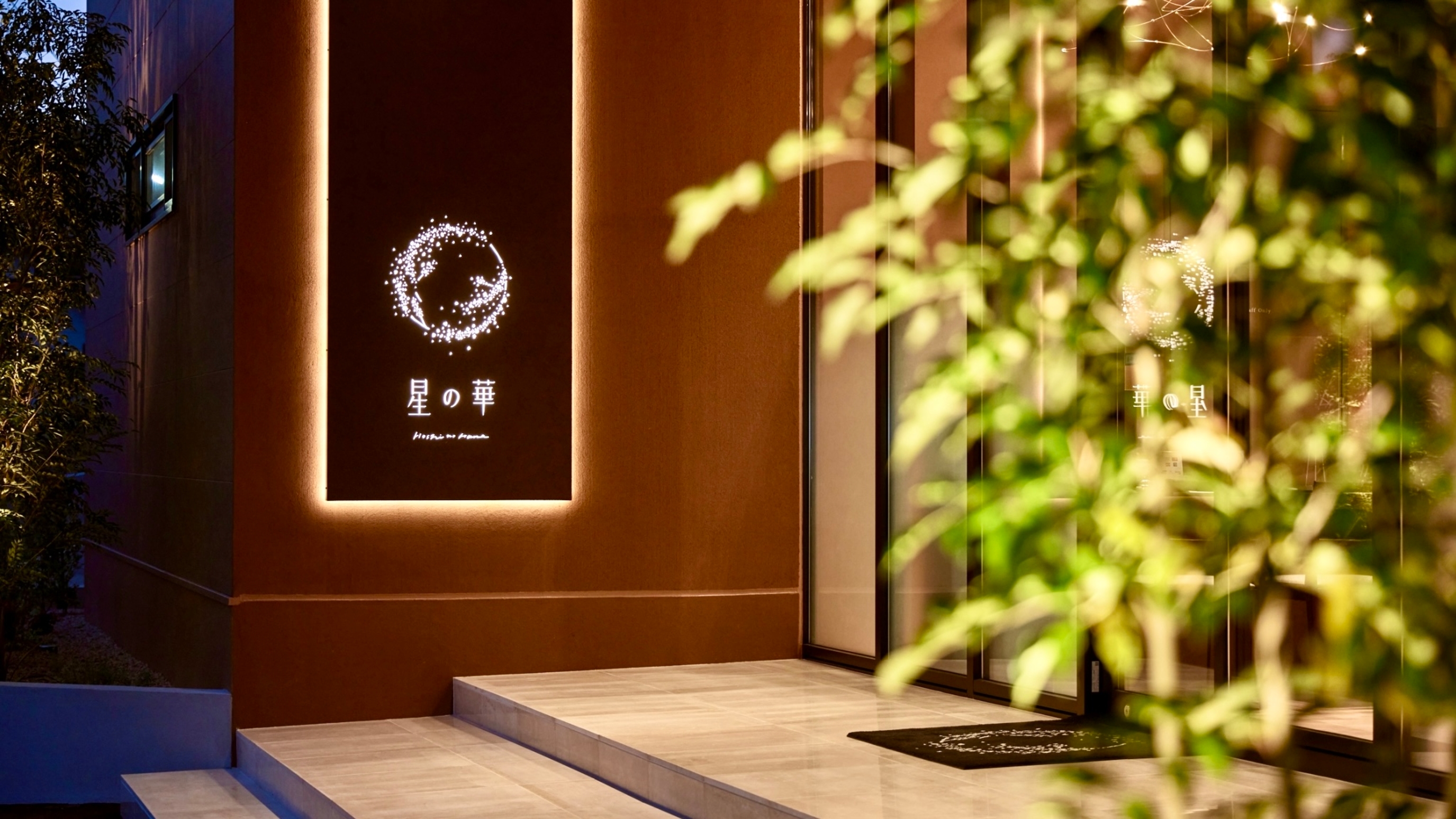星の華 2