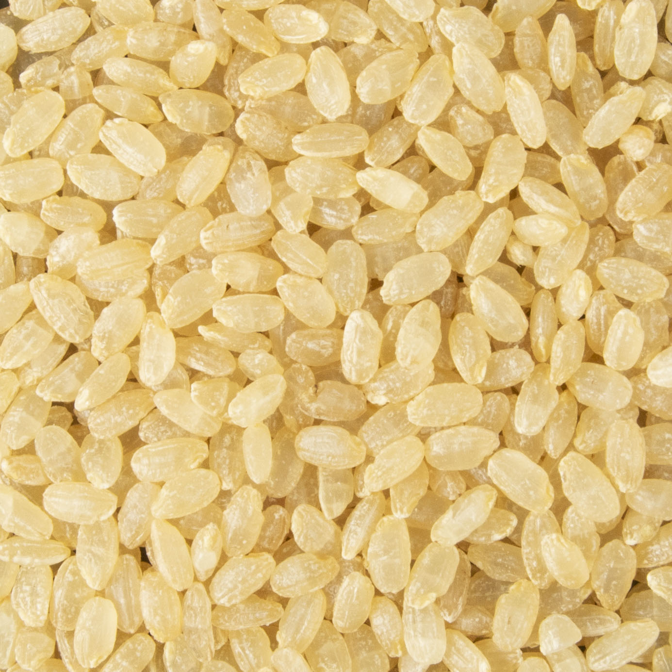 あきたこまち発芽玄米 無洗米をレビュー！クチコミ・評判をもとに徹底