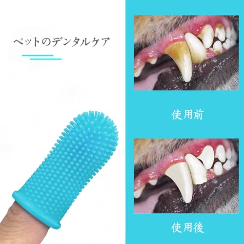 犬用歯ブラシ 3