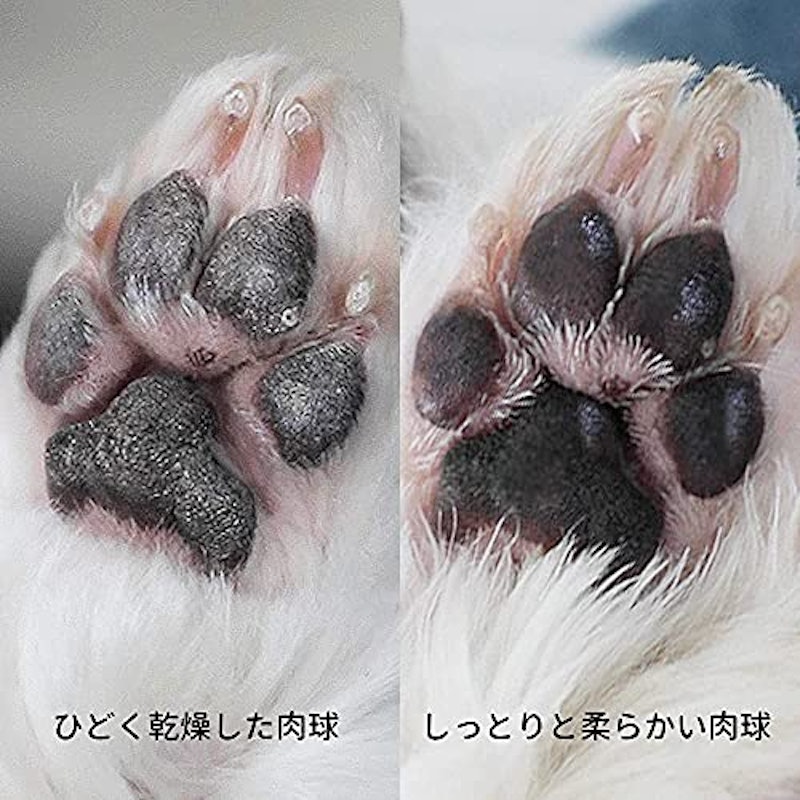 肉球ケアエッセンス 2