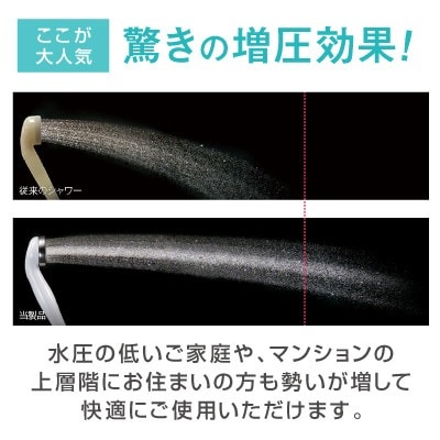 Arromic シルクタッチシャワーII 3