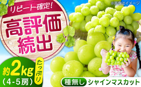 シャインマスカット 約2kg 1