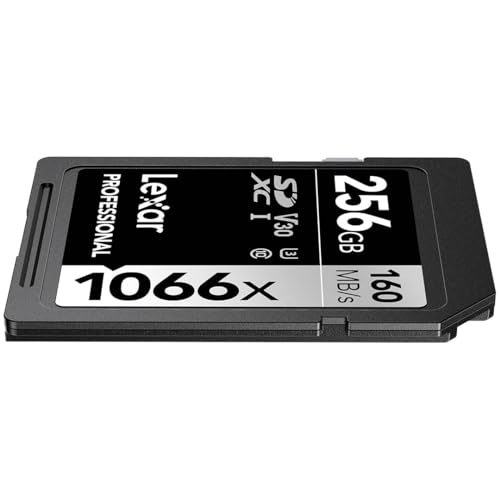 Professional 1066× 2