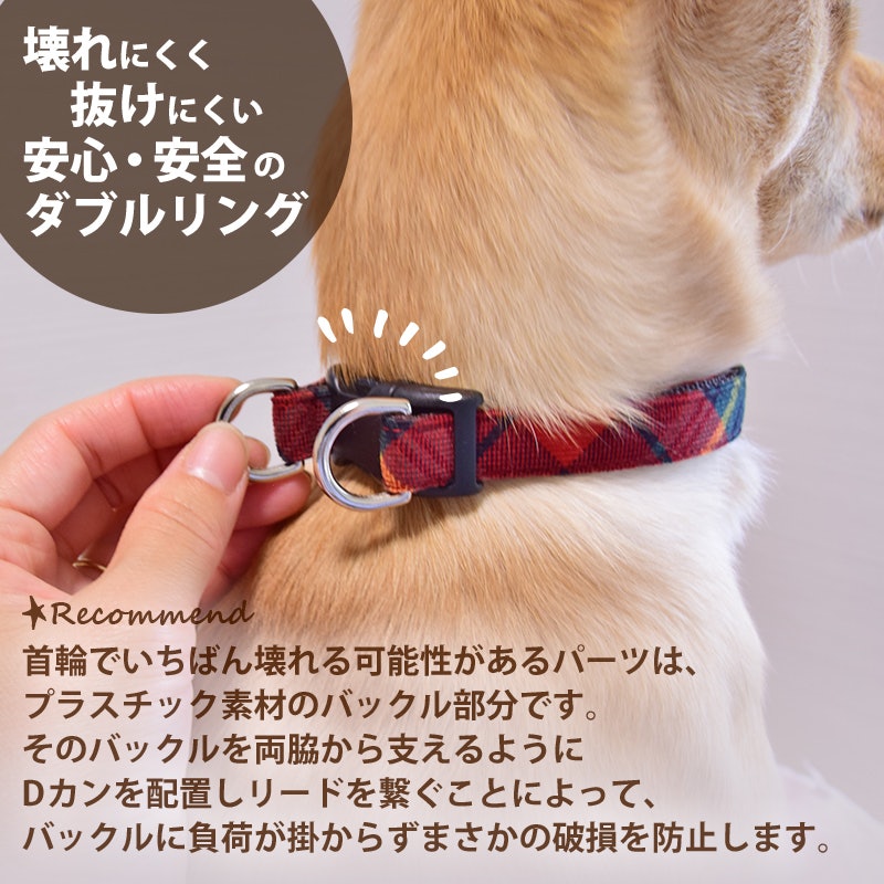 22年 大型犬用首輪のおすすめ人気ランキング21選 Mybest 22年 大型犬用首輪のおすすめ人気ランキング21選 Mybest
