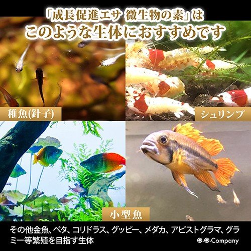 エサ キョーリン クリーンブラインシュリンプ100g