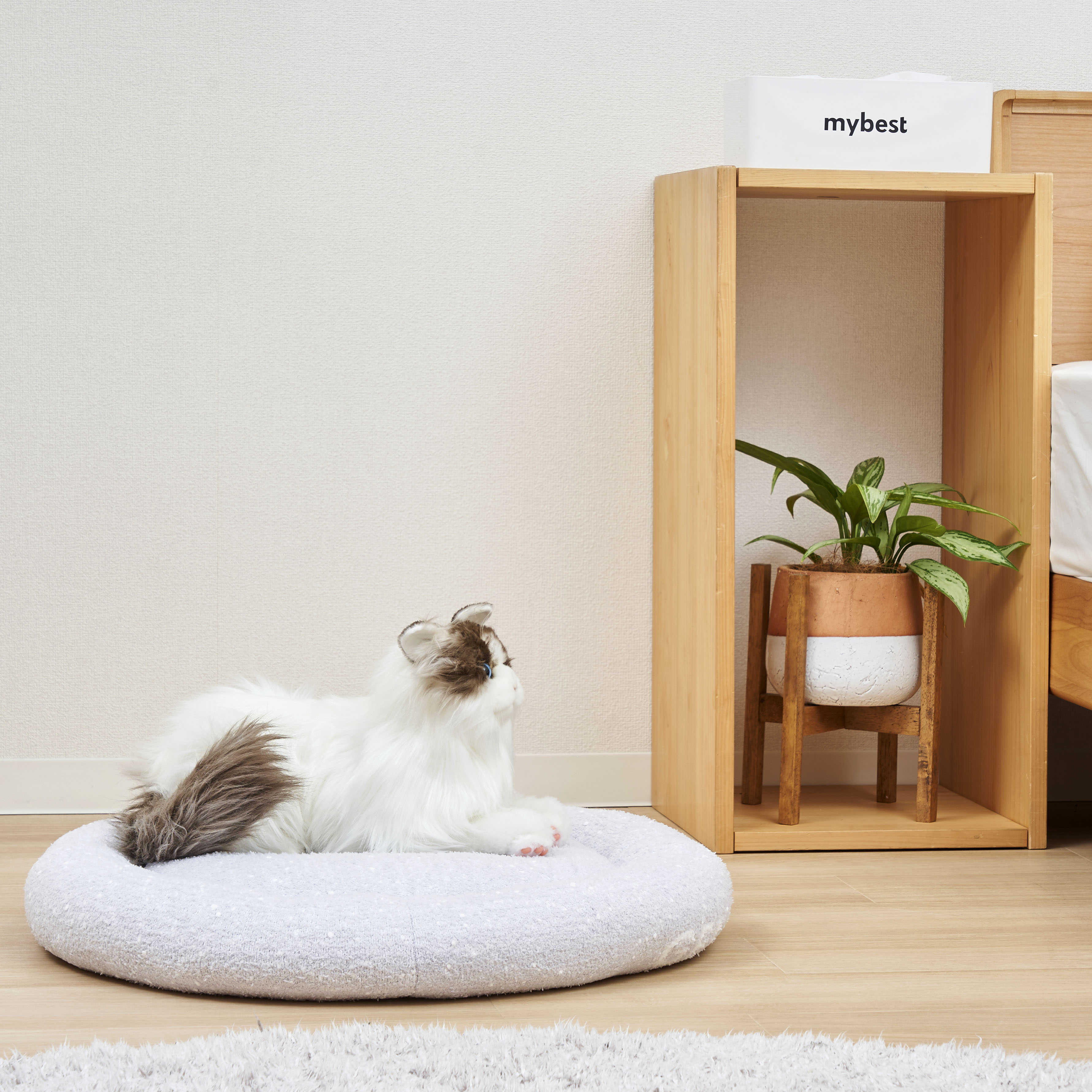CAT&DOG ベビモコベッド 5