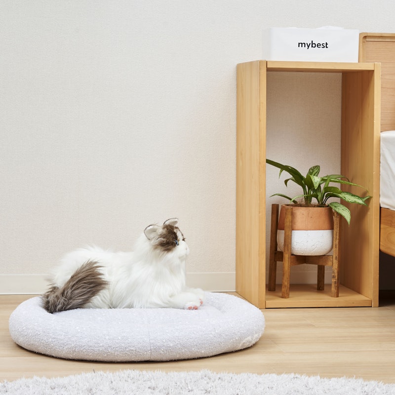 CAT&DOG ベビモコベッド 5