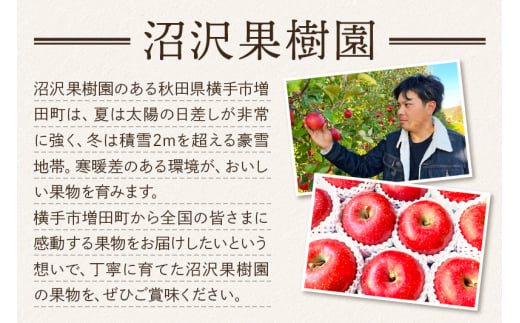 樹上完熟サンフジ 色ムラ・傷などあり 4